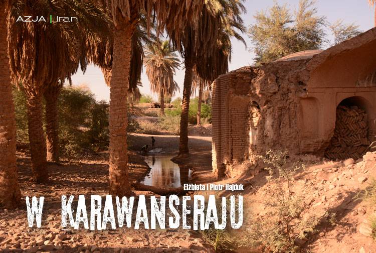 Losowy darmowy artykuł